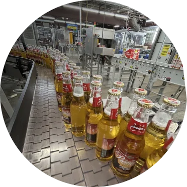 Beer bottles moving along a brewery bottling line