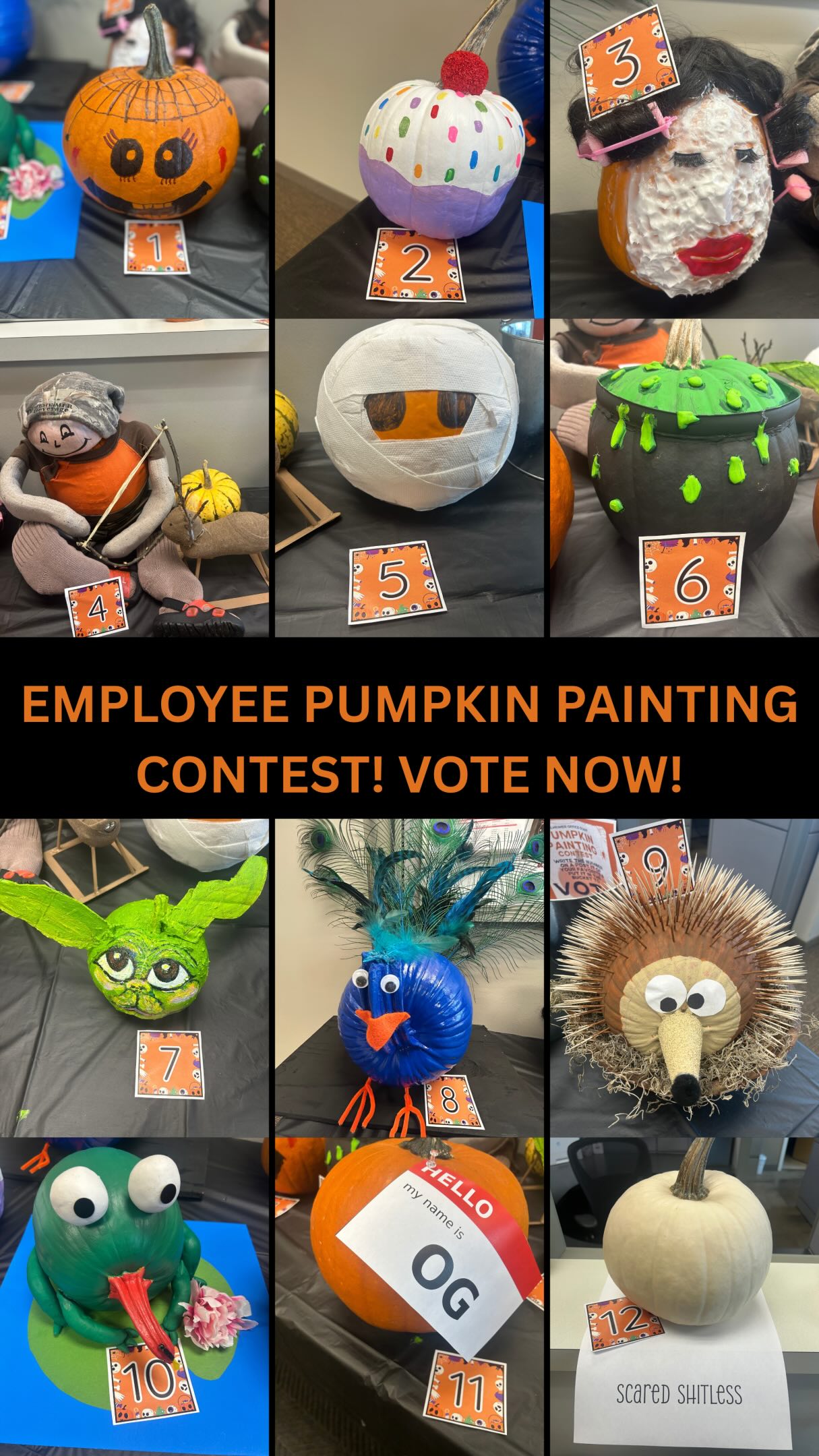 CAST YOUR VOTES! Our Monticello office staff had a pumpkin decorating contest, and now we need YOUR help picking a winner!