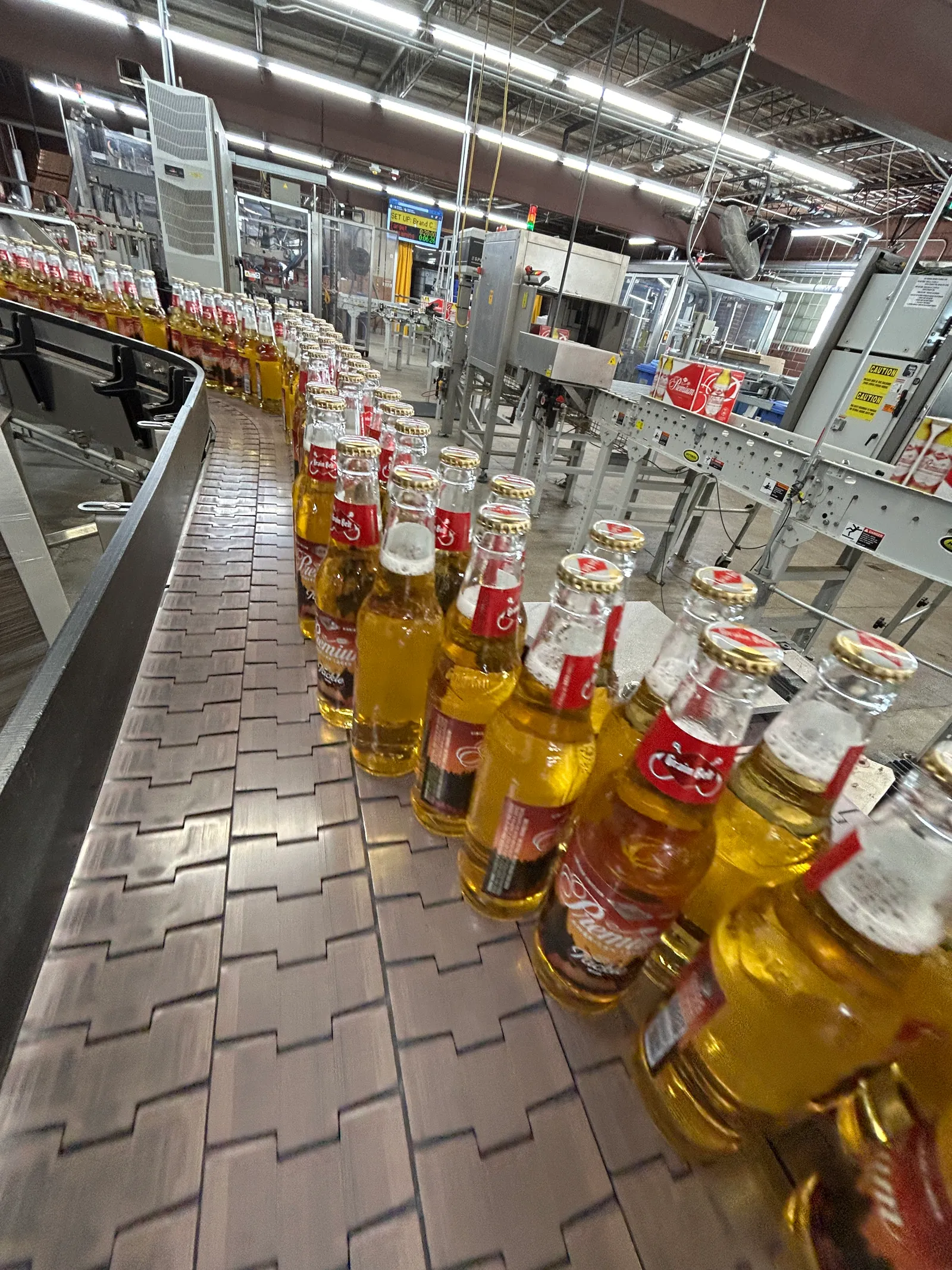 Beer bottles moving along a brewery bottling line